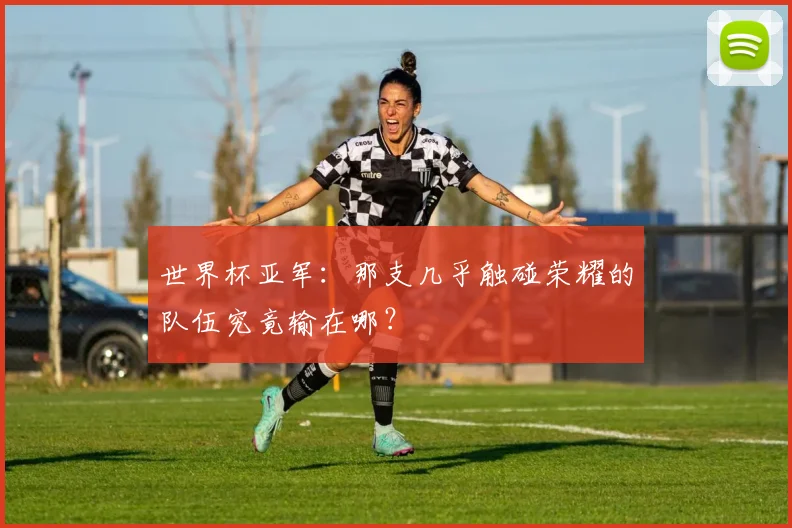 世界杯亚军:那支几乎触碰荣耀的队伍究竟输在哪?
