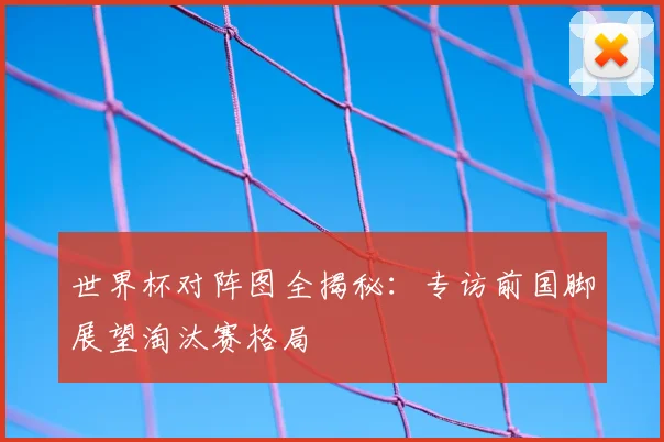 世界杯对阵图全揭秘：专访前国脚展望淘汰赛格局