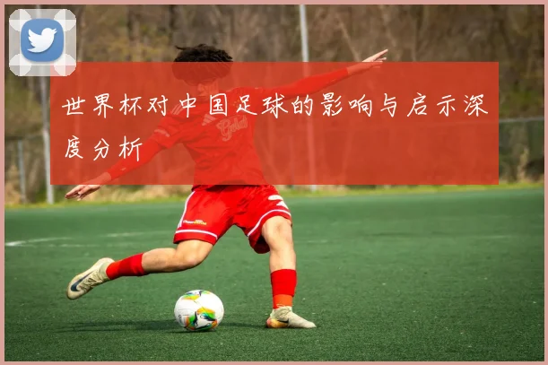 世界杯对中国足球的影响与启示深度分析