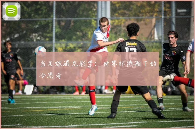 当足球遇见彩票：世界杯热潮下的冷思考