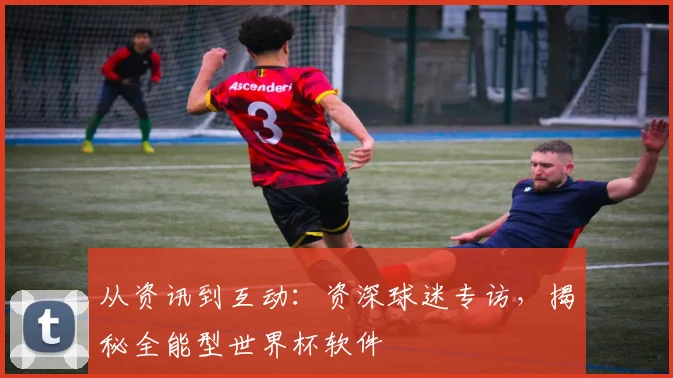 从资讯到互动:资深球迷专访,揭秘全能型世界杯软件